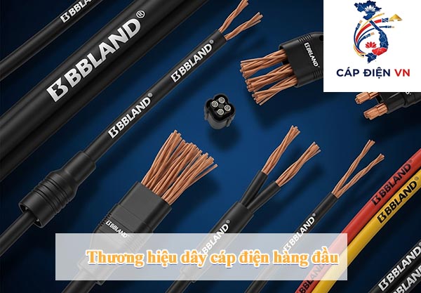 Thương hiệu dây cáp điện hàng đầu-Capdienvn