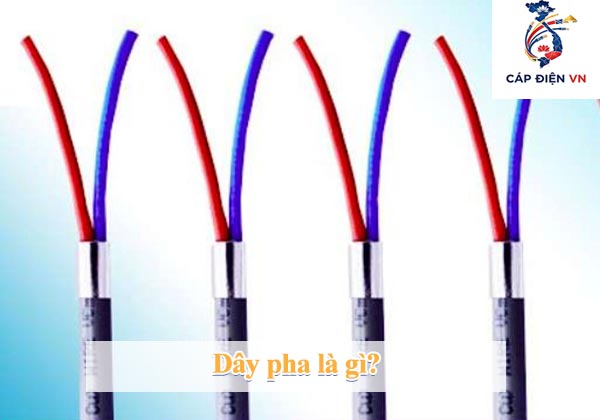 Dây pha là gì_Cáp điện VN
