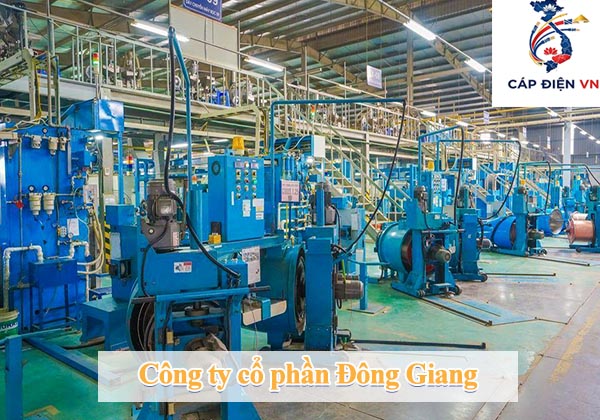 Đôi nét về Công ty cổ phần Đông Giang