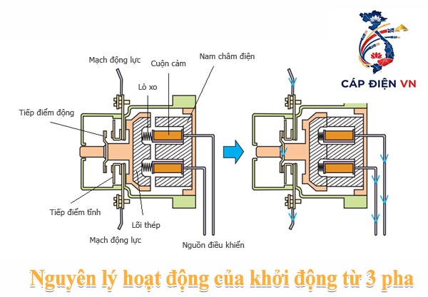 Nguyên lý hoạt động của khởi động từ 3 pha
