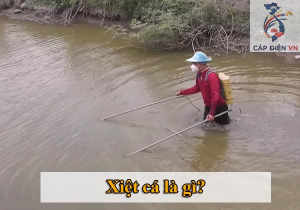 Xiệt cá là gì_Capdienvn