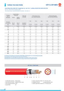 thong-so-cap-chong-chay-ngam-goldcup