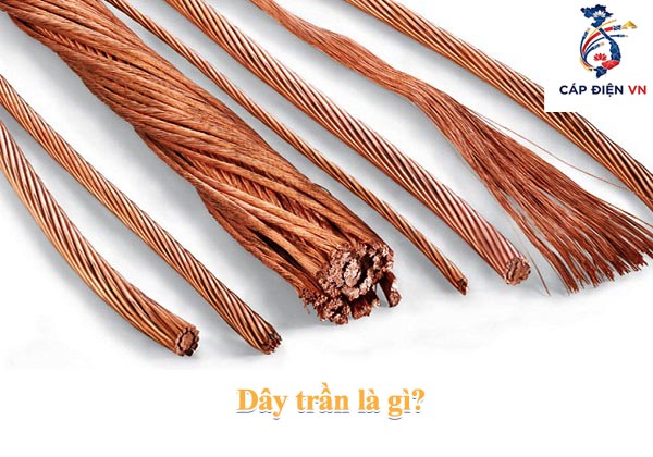 Dây trần là gì_Capdienvn