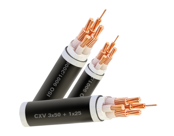 Cáp tiếp địa Caidsun 1 Cáp tiếp địa Caidsun 1