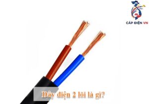 Dây điện 2 lõi là gì_Capdienvn