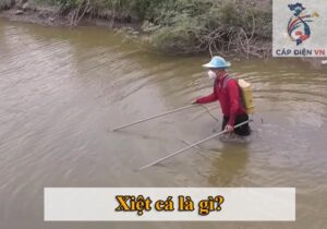 Xiệt cá là gì_Capdienvn